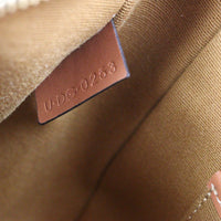 Celine Ava Triomphe Hobo