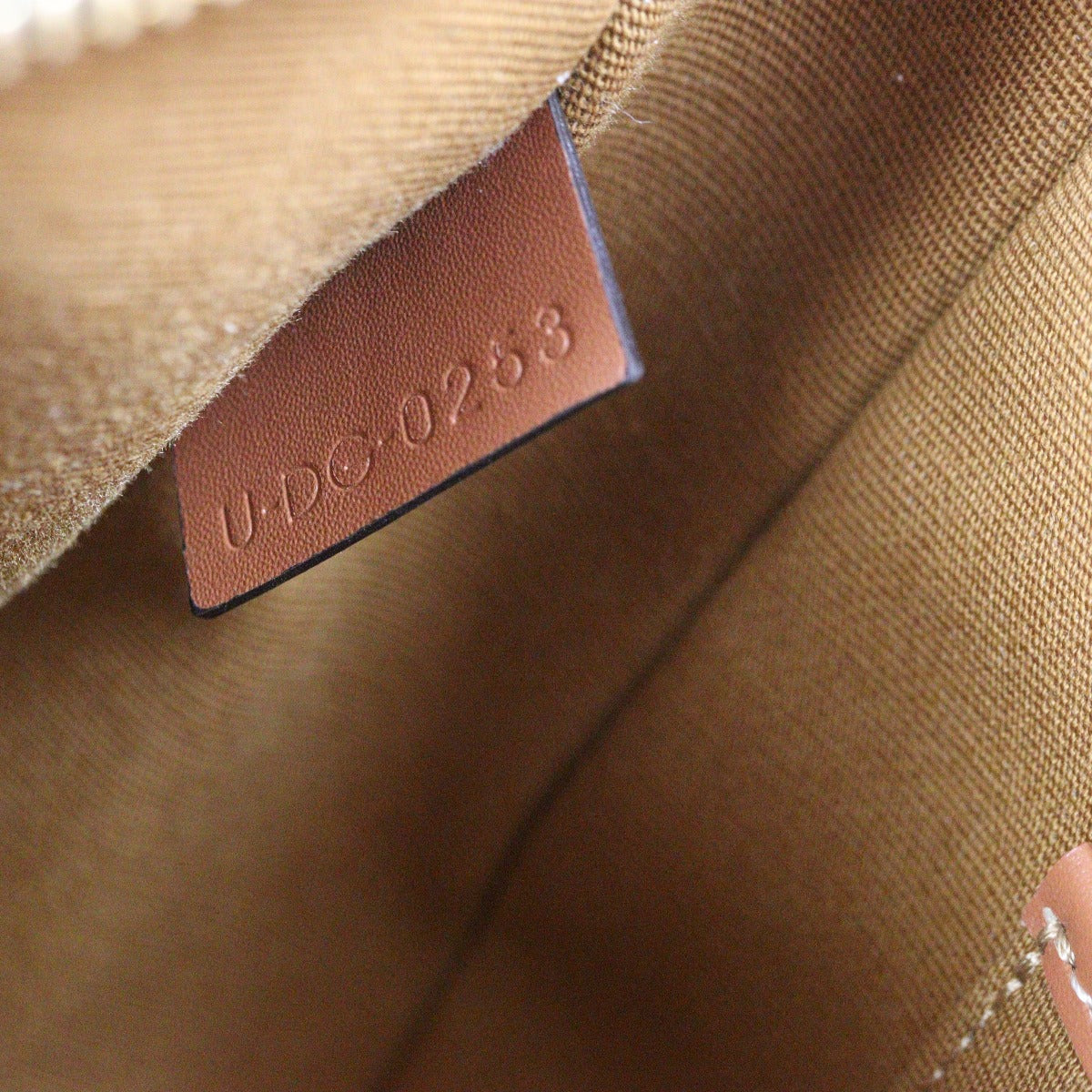 Celine Ava Triomphe Hobo