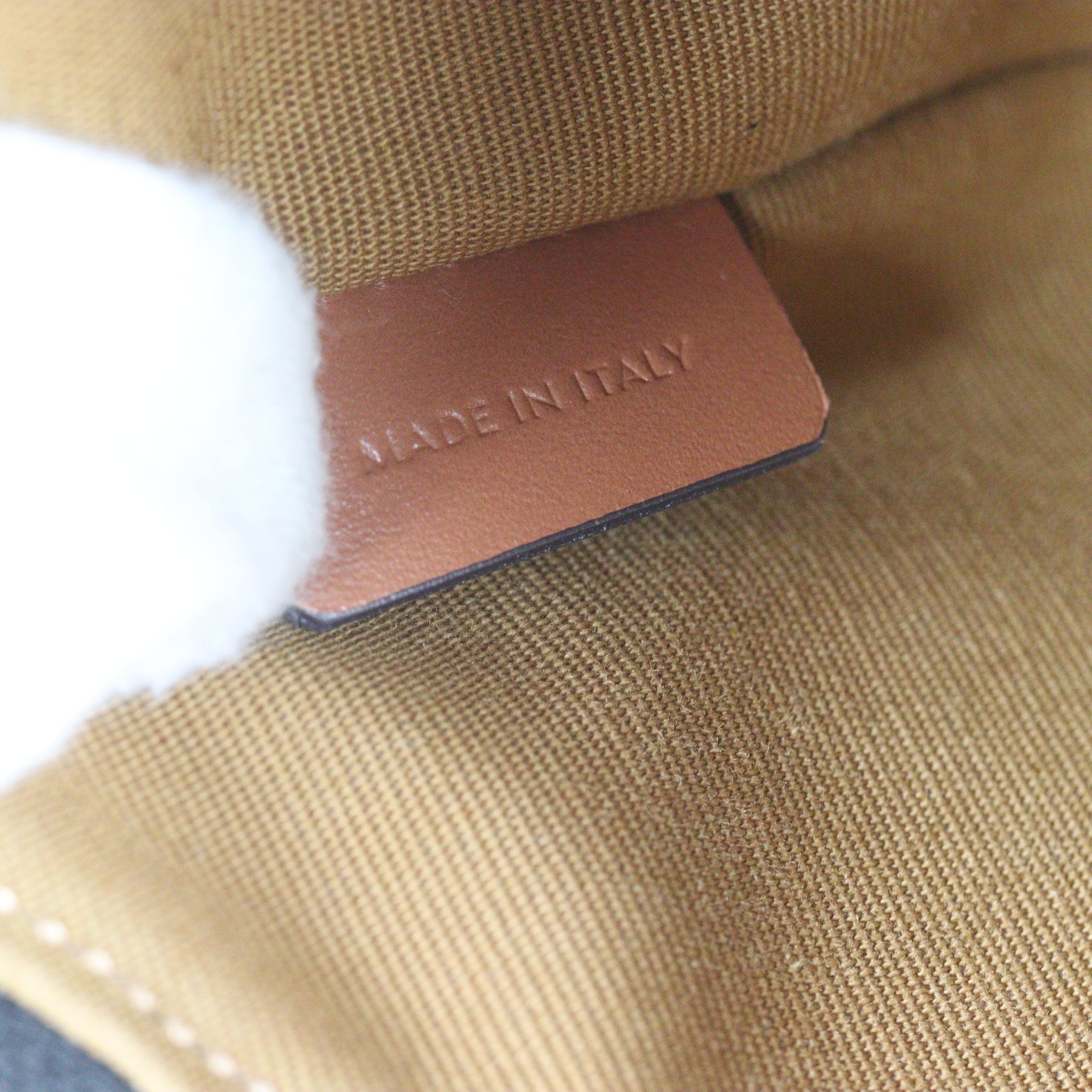 Celine Ava Triomphe Hobo