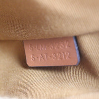 Celine Ava Triomphe Hobo