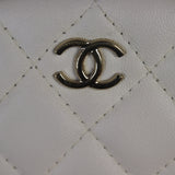 Chanel 19 Waist And Coin Purse Bag