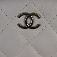Chanel 19 Waist And Coin Purse Bag