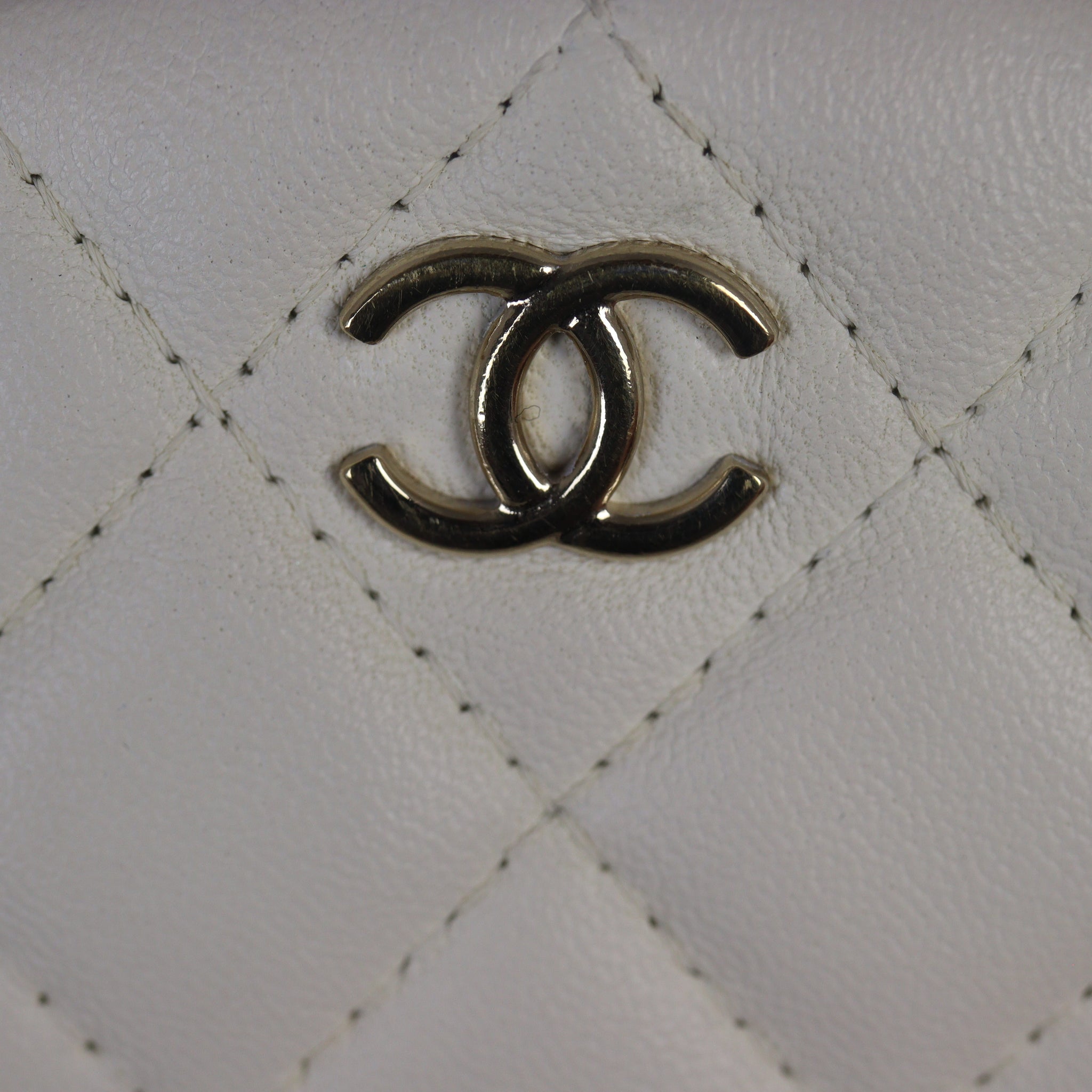 Chanel 19 Waist And Coin Purse Bag