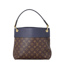 Louis Vuitton Tuileries Hobo Monogram