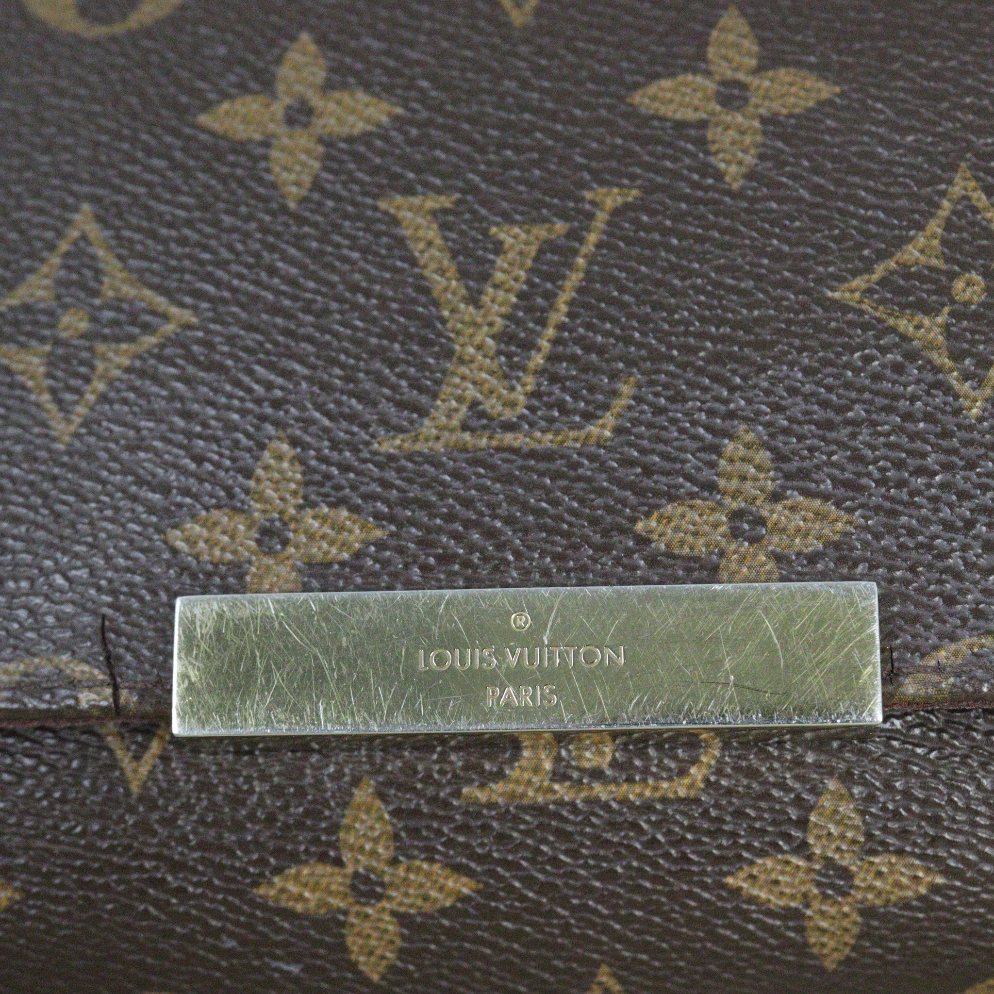 Louis Vuitton Favorite MM Monogram
