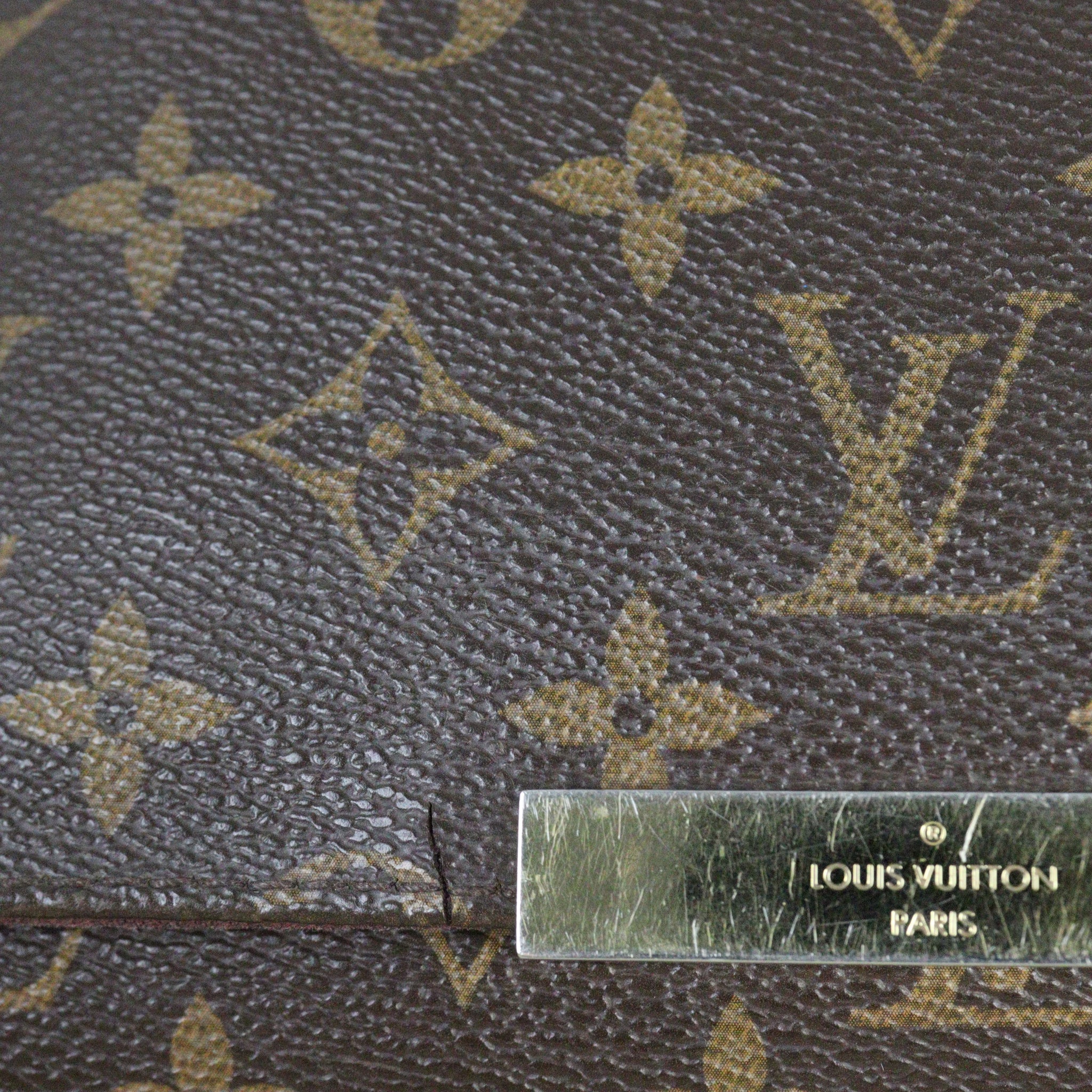 Louis Vuitton Favorite MM Monogram