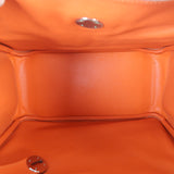 Hermes Lindy 30 Evercolor