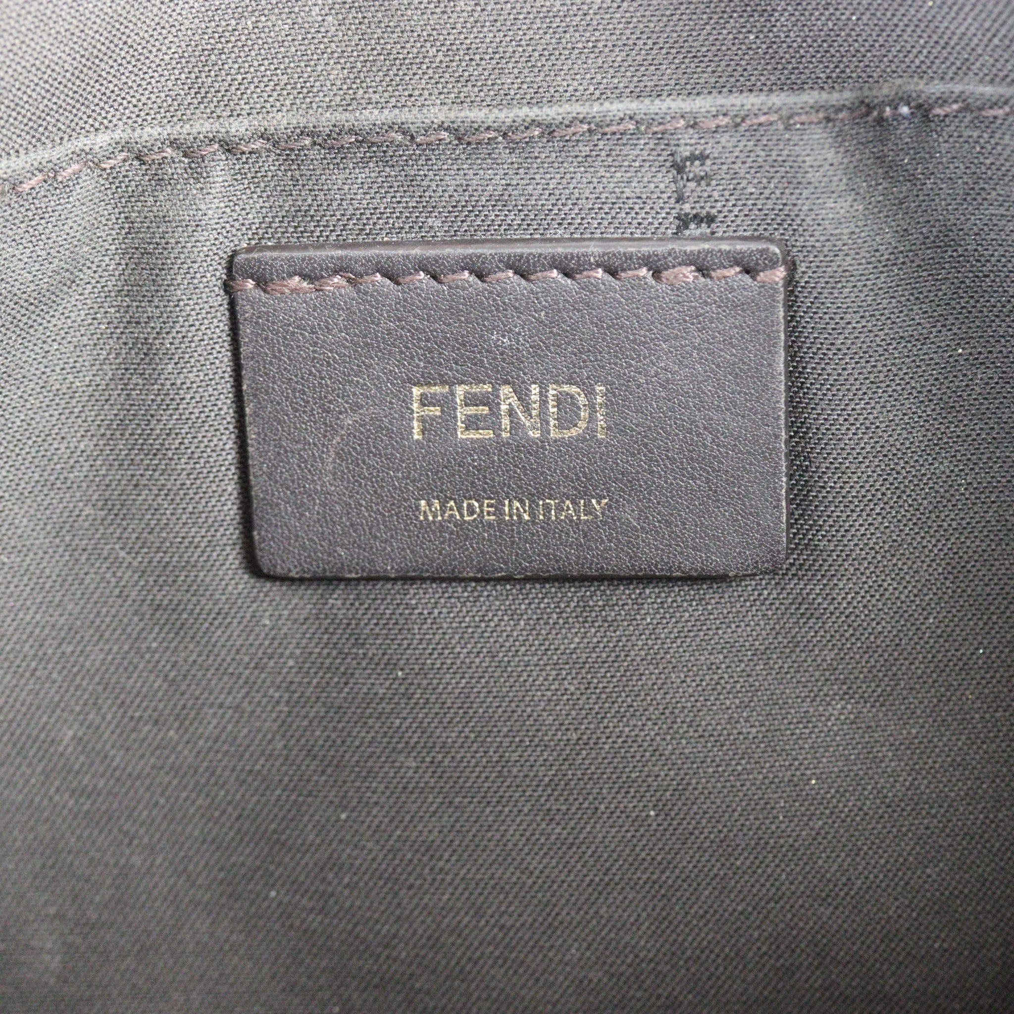 Fendi FF 1974 Camera Bag