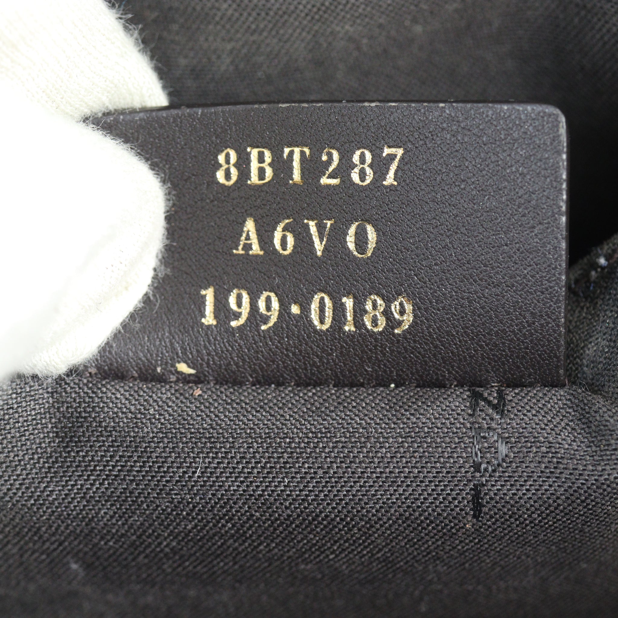 Fendi FF 1974 Camera Bag