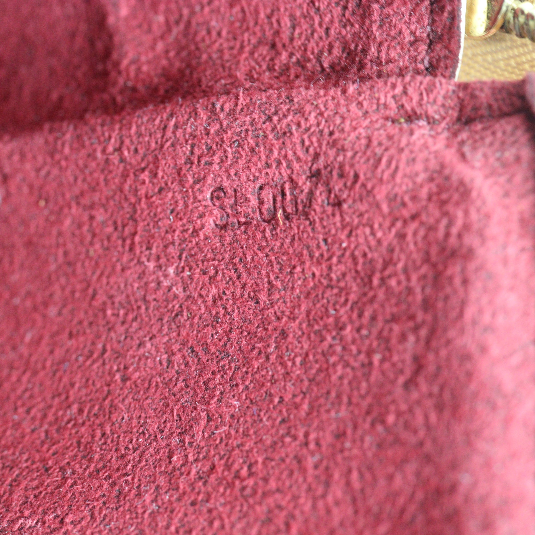 Louis Vuitton Pochette Accessoires Monogram Multicolore