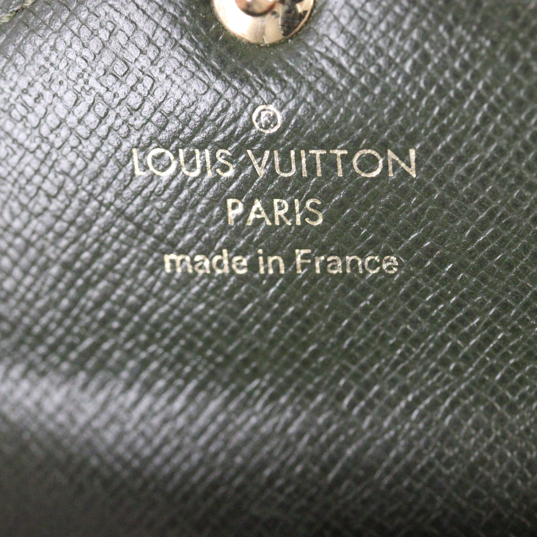 Louis Vuitton Felicie Strap & Go Monogram