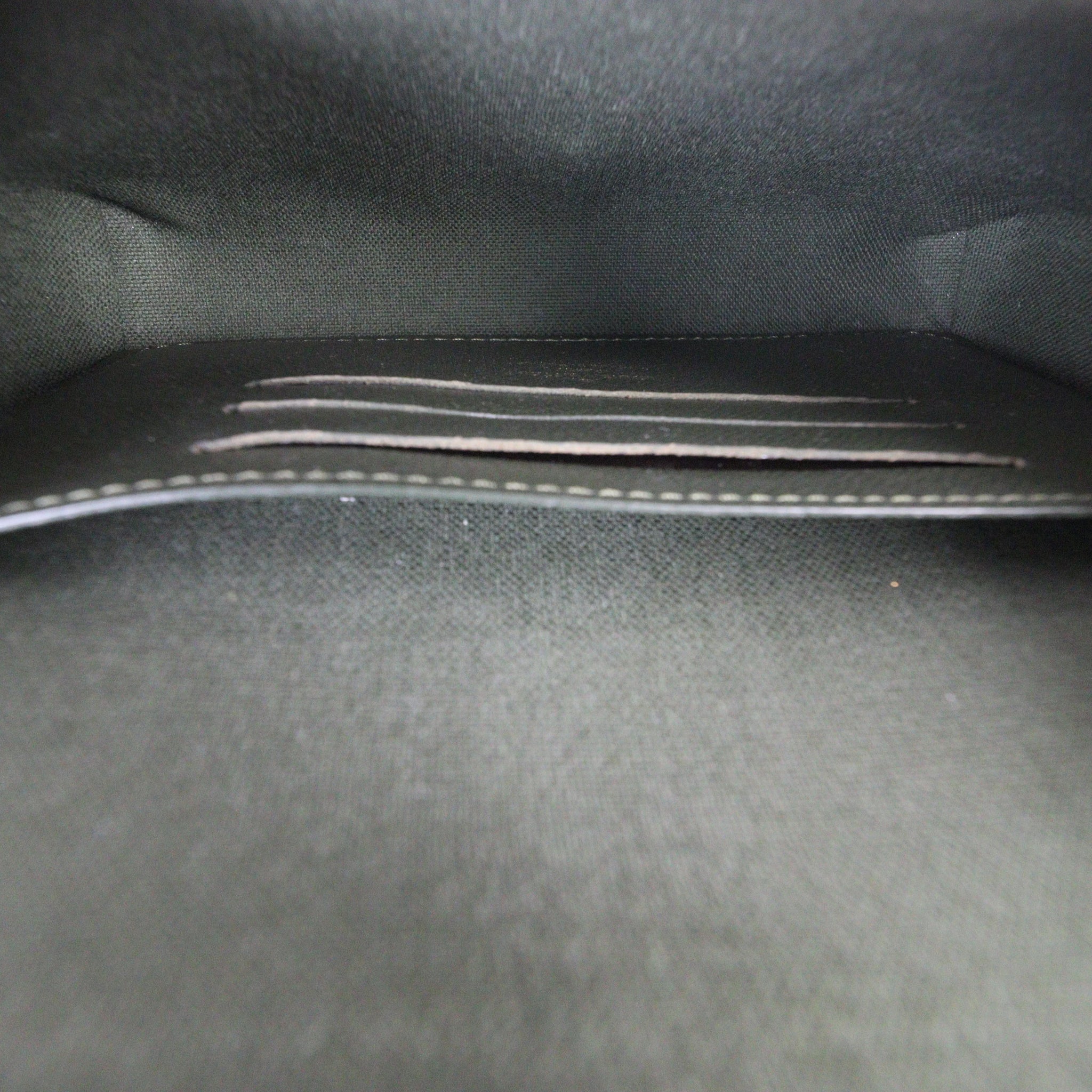 Louis Vuitton Felicie Strap & Go Monogram