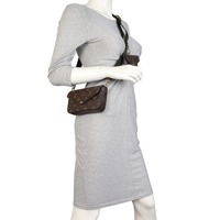 Louis Vuitton Felicie Strap & Go Monogram