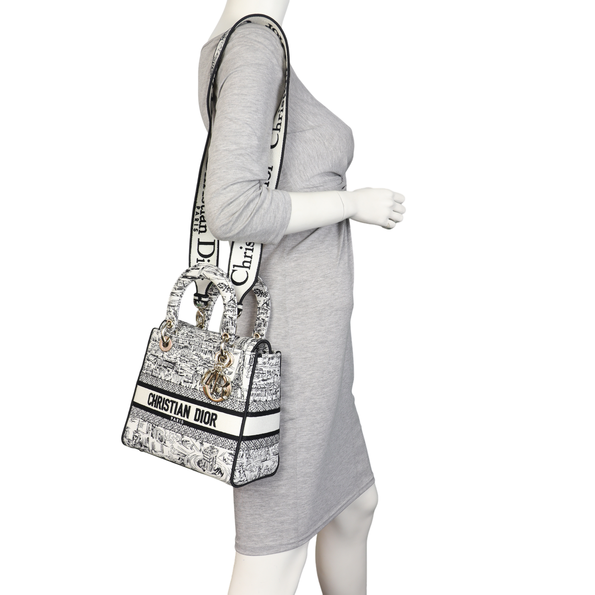 Dior Lady D-Lite Medium