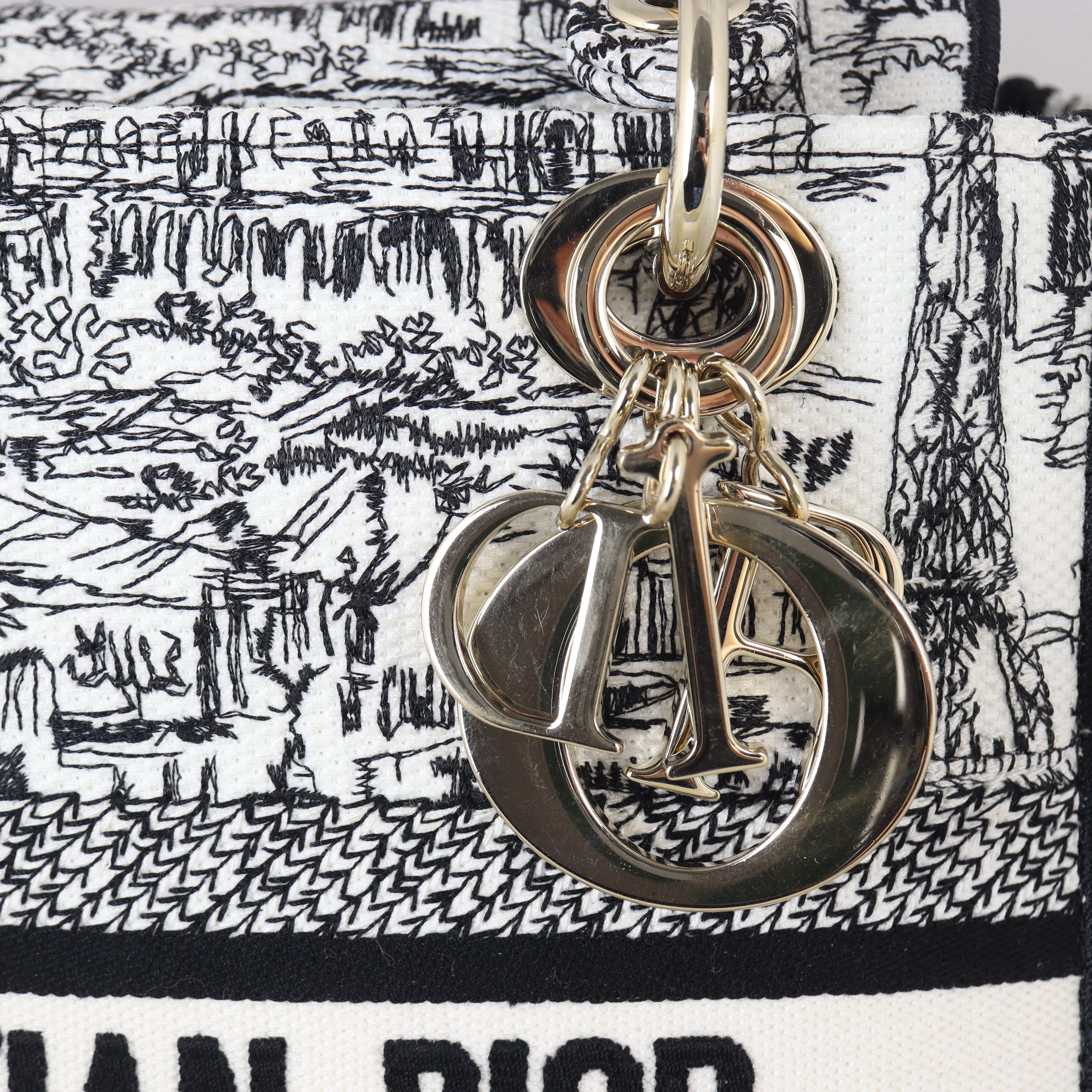Dior Lady D-Lite Medium – Luxe.It.Fwd