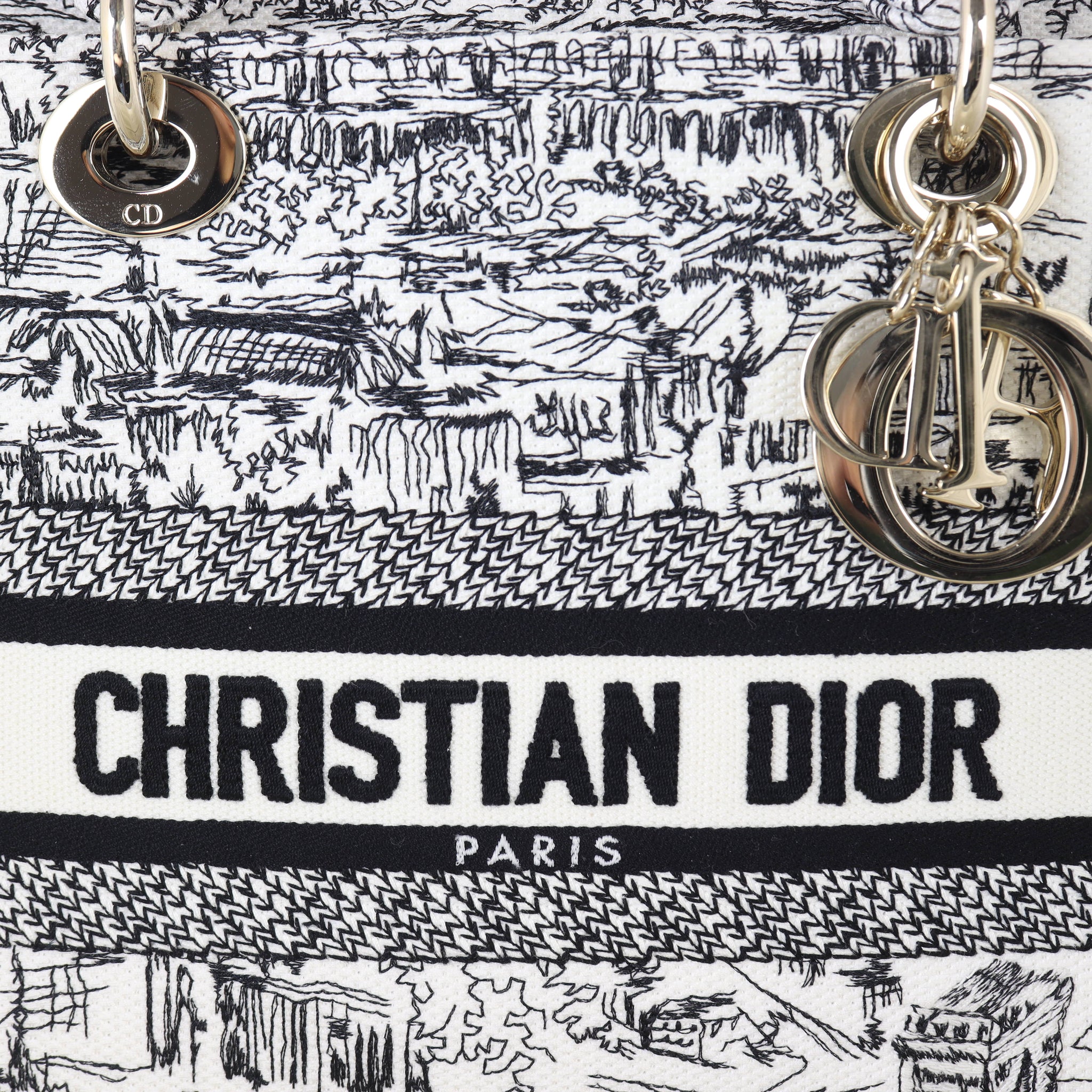 Dior Lady D-Lite Medium