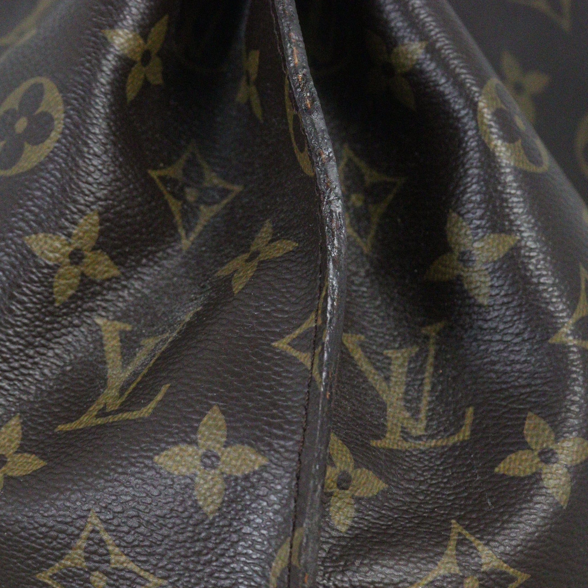 Louis Vuitton Metis Hobo Monogram