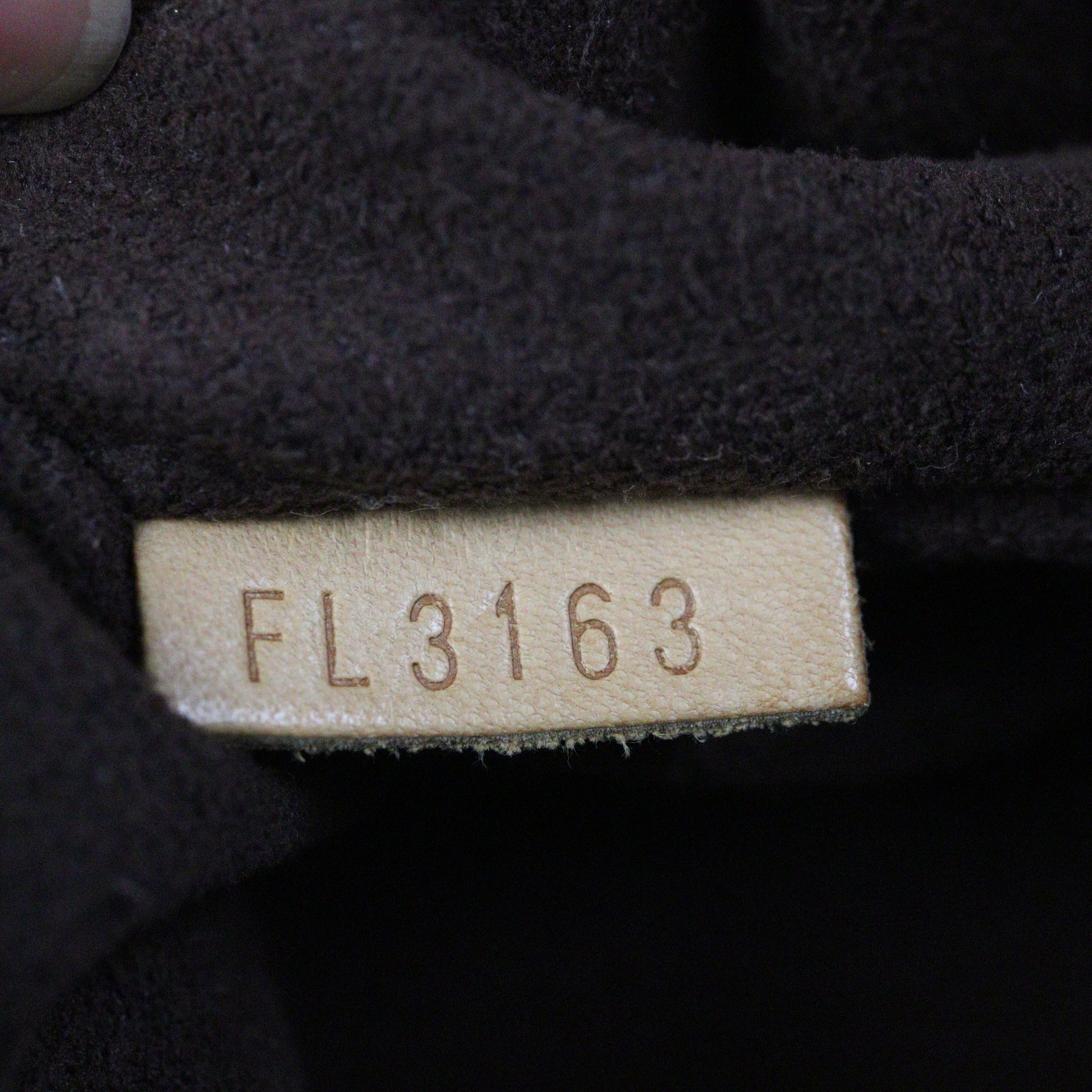 Louis Vuitton Metis Hobo Monogram