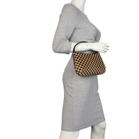 Louis Vuitton Damier Sauvage Tigre Bag