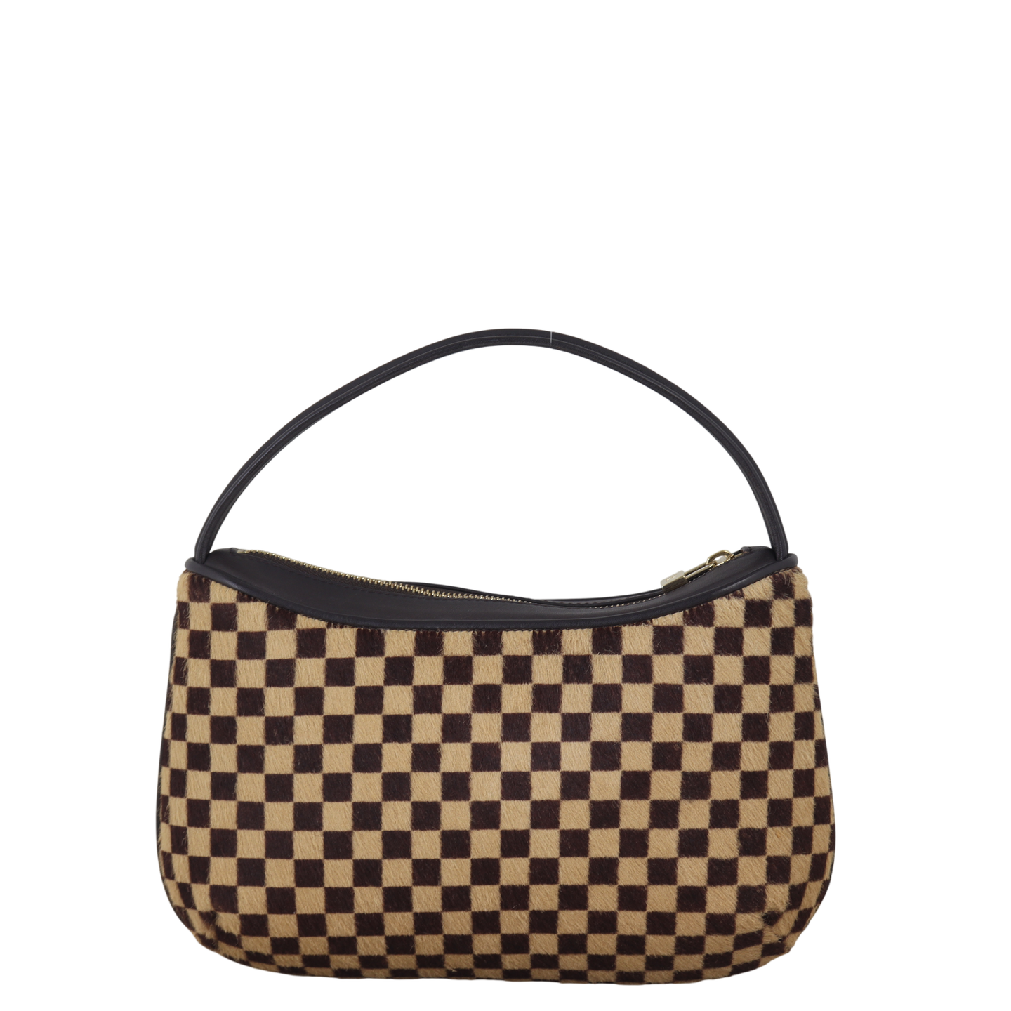 Louis Vuitton Damier Sauvage Tigre Bag