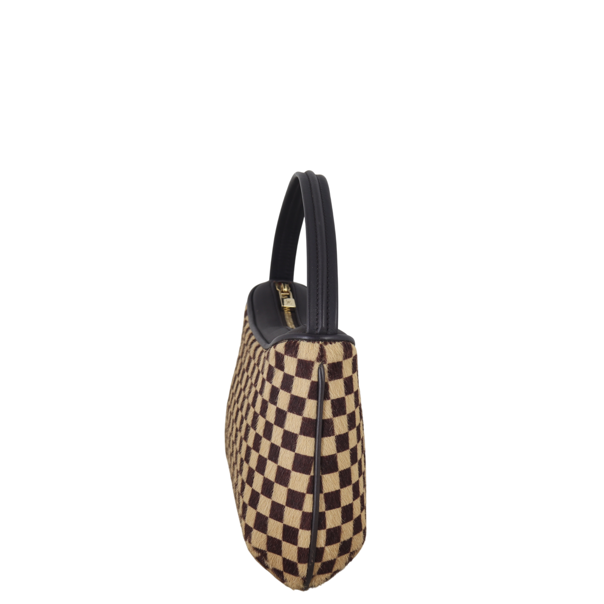 Louis Vuitton Damier Sauvage Tigre Bag