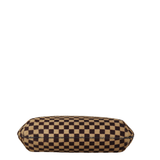 Louis Vuitton Damier Sauvage Tigre Bag