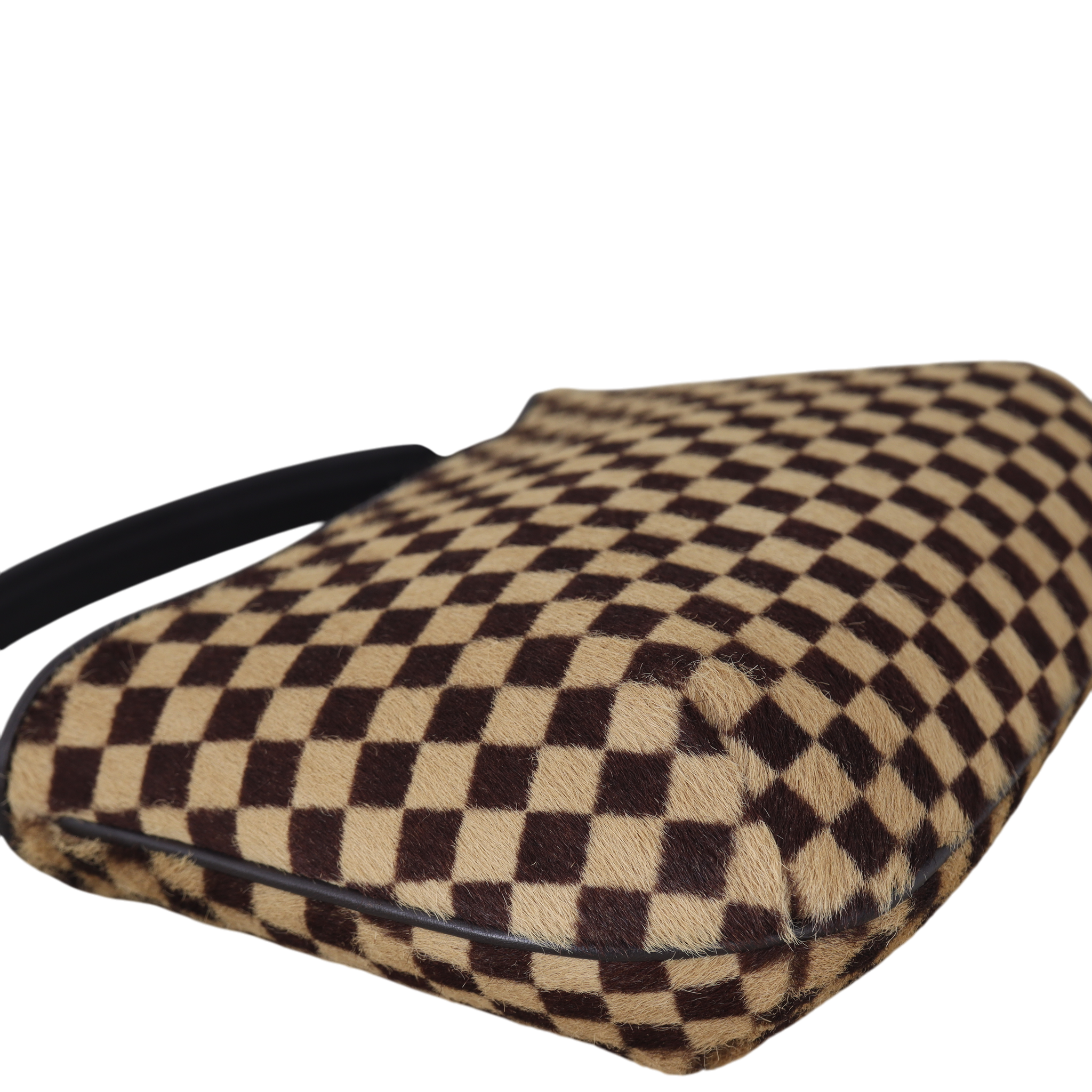 Louis Vuitton Damier Sauvage Tigre Bag