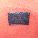 Louis Vuitton Damier Sauvage Tigre Bag