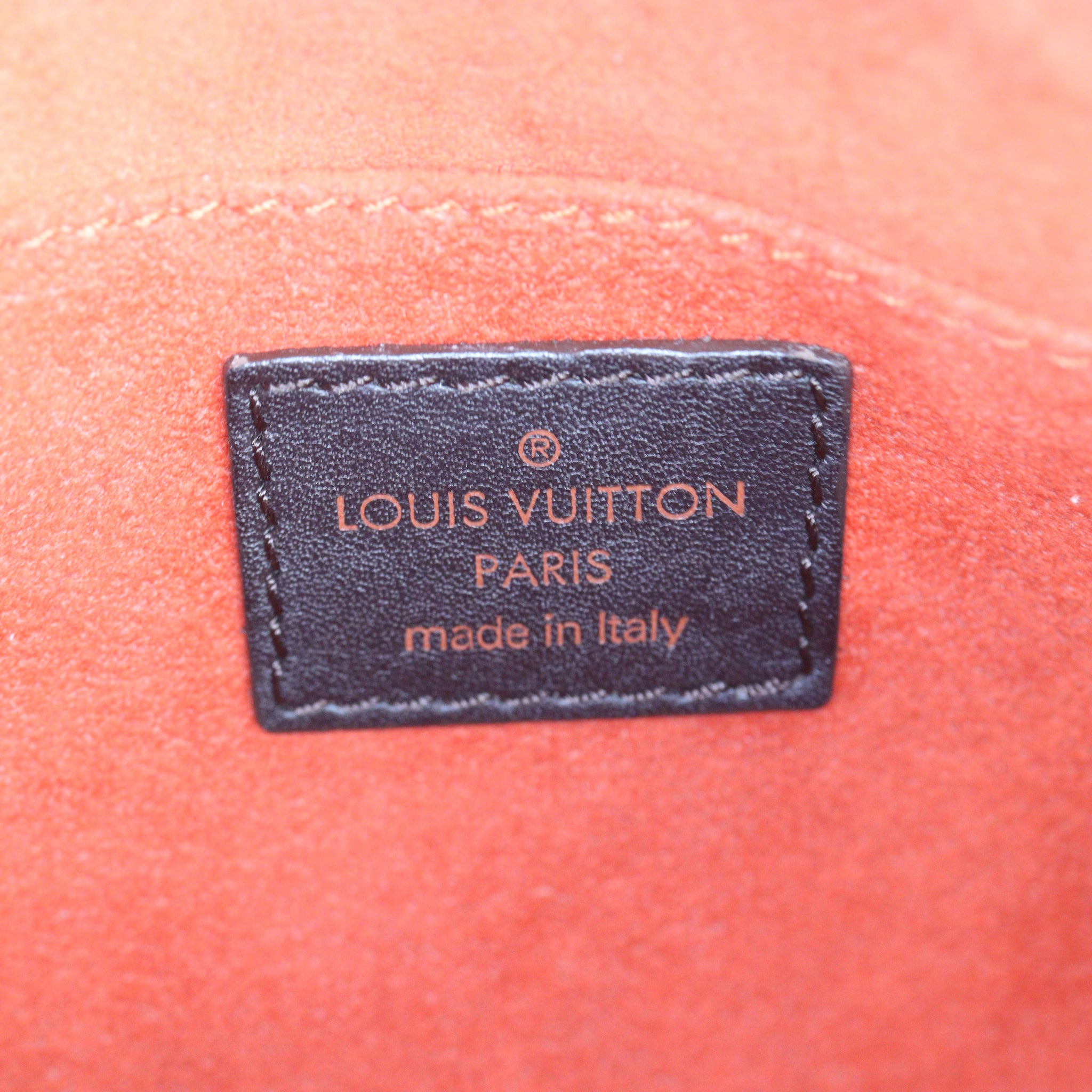 Louis Vuitton Damier Sauvage Tigre Bag