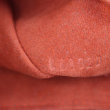 Louis Vuitton Damier Sauvage Tigre Bag