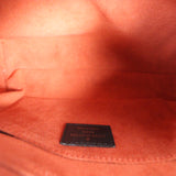 Louis Vuitton Damier Sauvage Tigre Bag