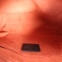 Louis Vuitton Damier Sauvage Tigre Bag