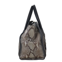 Celine Mini Luggage Tote Python