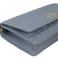 Dior Caro Chain Pouch