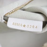 Dior Lady Dior Mini with Extra Strap