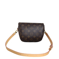 Louis Vuitton Mini Bumbag Monogram