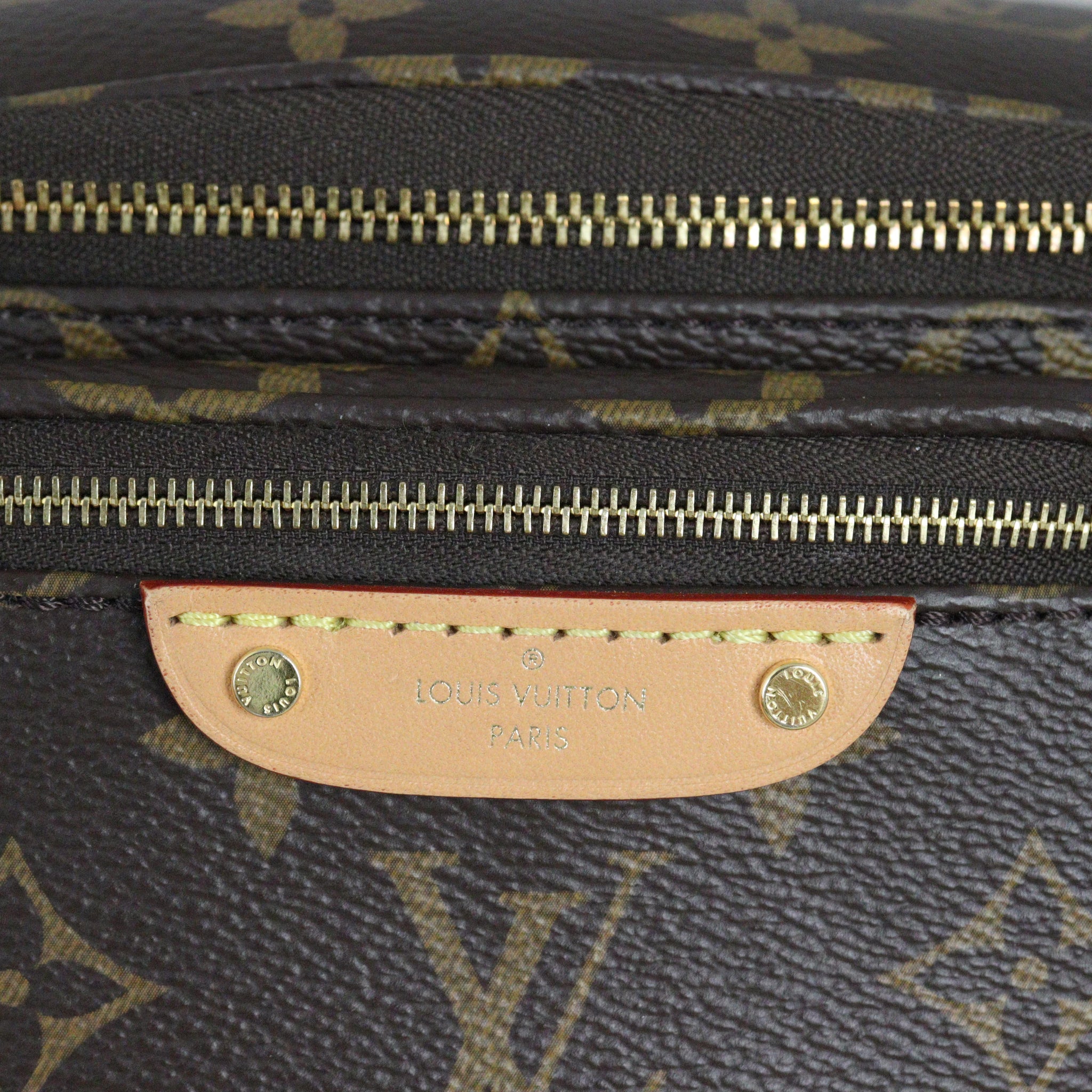 Louis Vuitton Mini Bumbag Monogram