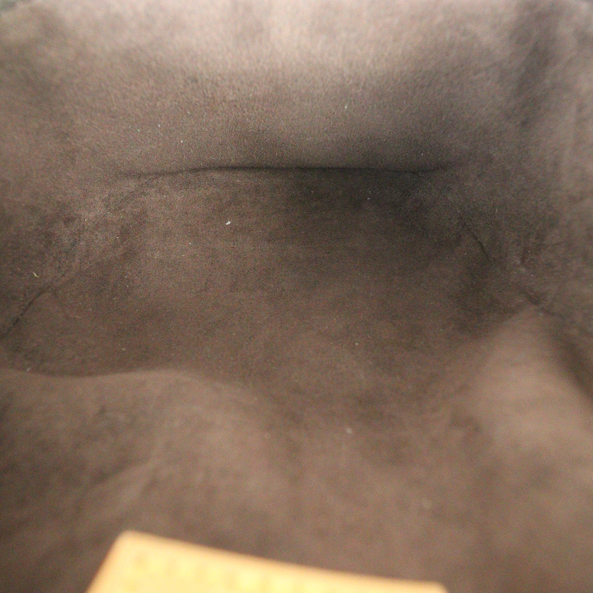 Louis Vuitton Mini Bumbag Monogram