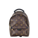 Louis Vuitton Palm Springs Mini Backpack Monogram