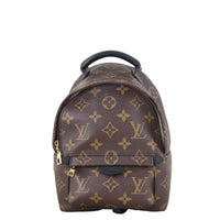 Louis Vuitton Palm Springs Mini Backpack Monogram