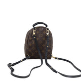 Louis Vuitton Palm Springs Mini Backpack Monogram