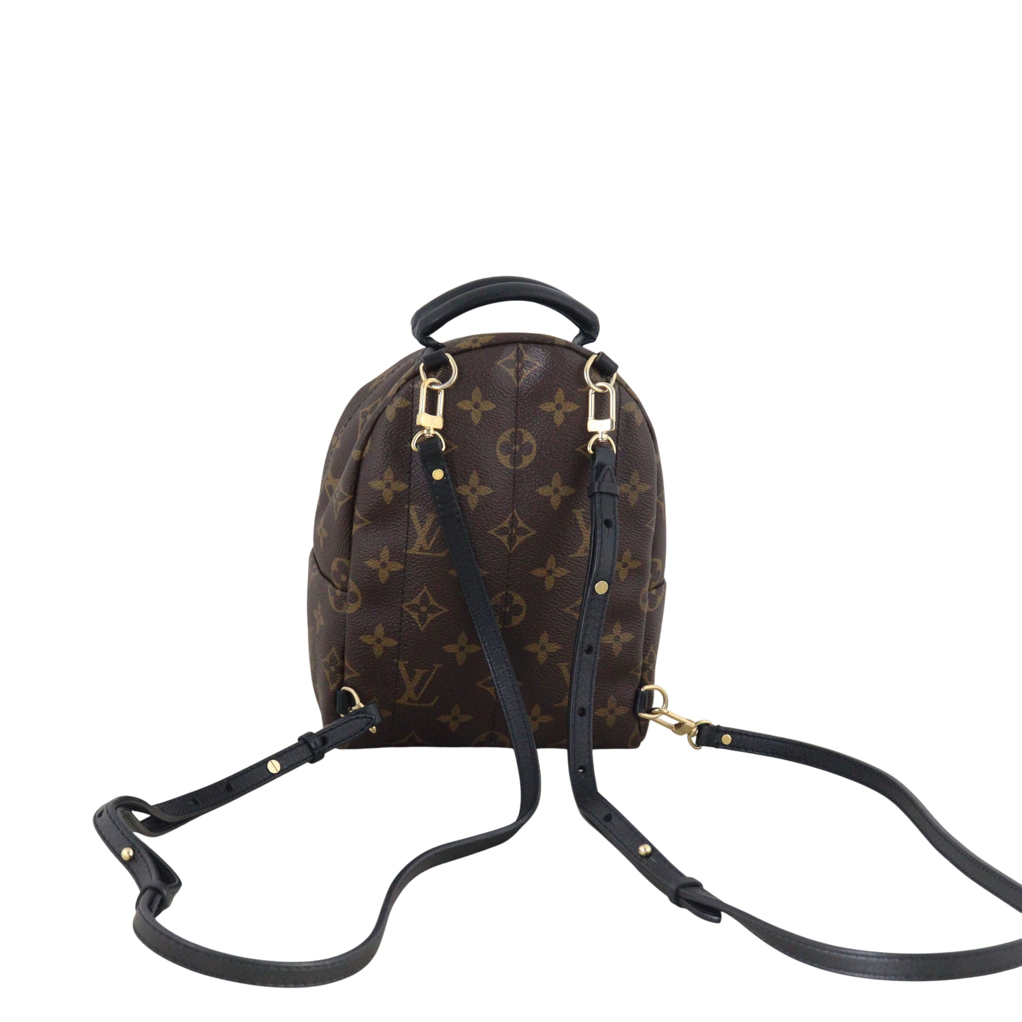 Louis Vuitton Palm Springs Mini Backpack Monogram