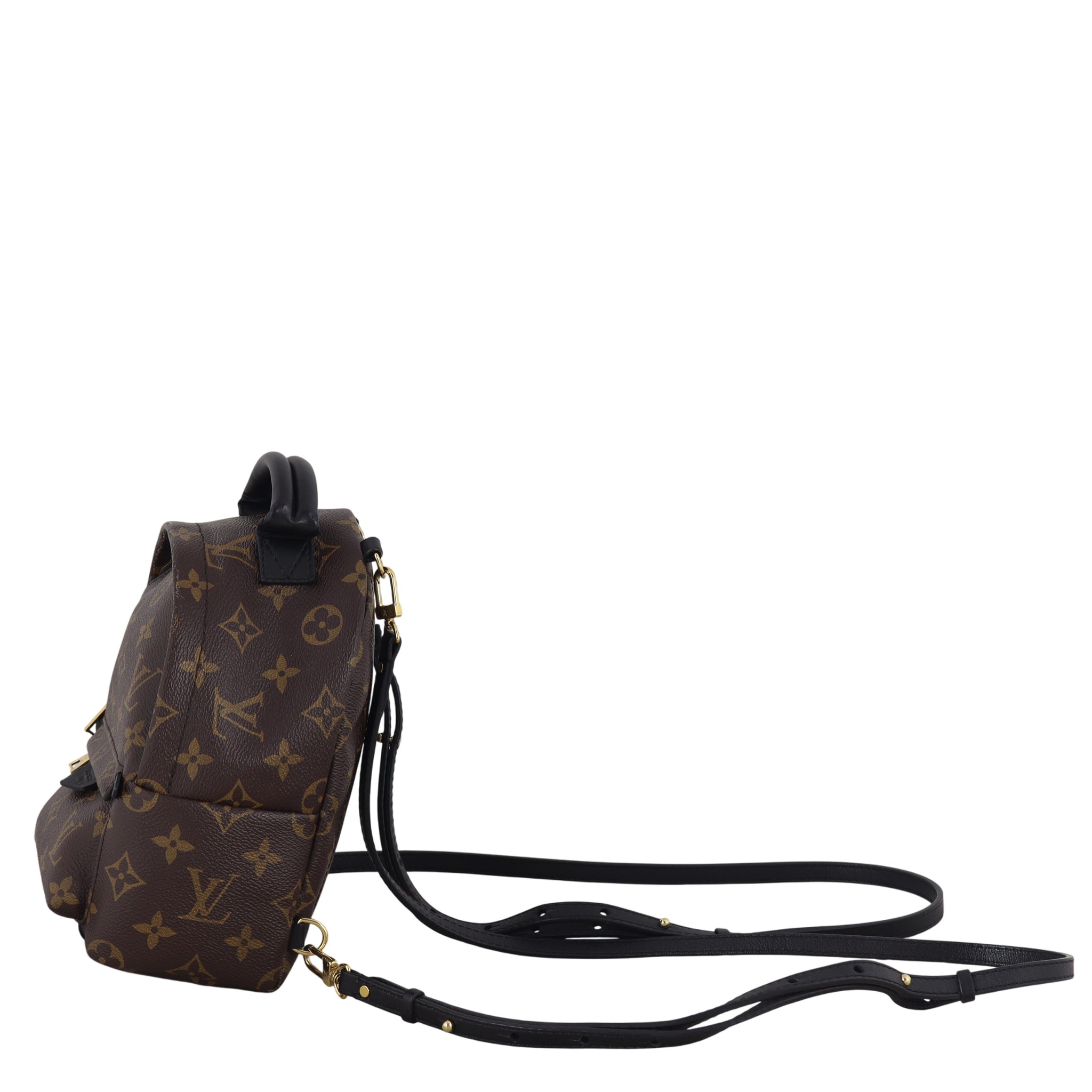 Louis Vuitton Palm Springs Mini Backpack Monogram – Luxe.It.Fwd