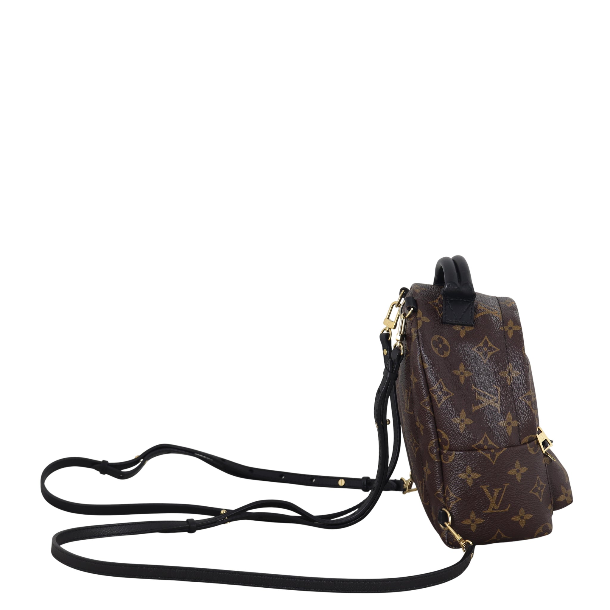 Louis Vuitton Palm Springs Mini Backpack Monogram – Luxe.It.Fwd