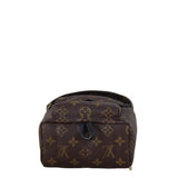 Louis Vuitton Palm Springs Mini Backpack Monogram