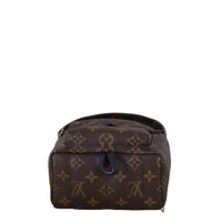Louis Vuitton Palm Springs Mini Backpack Monogram