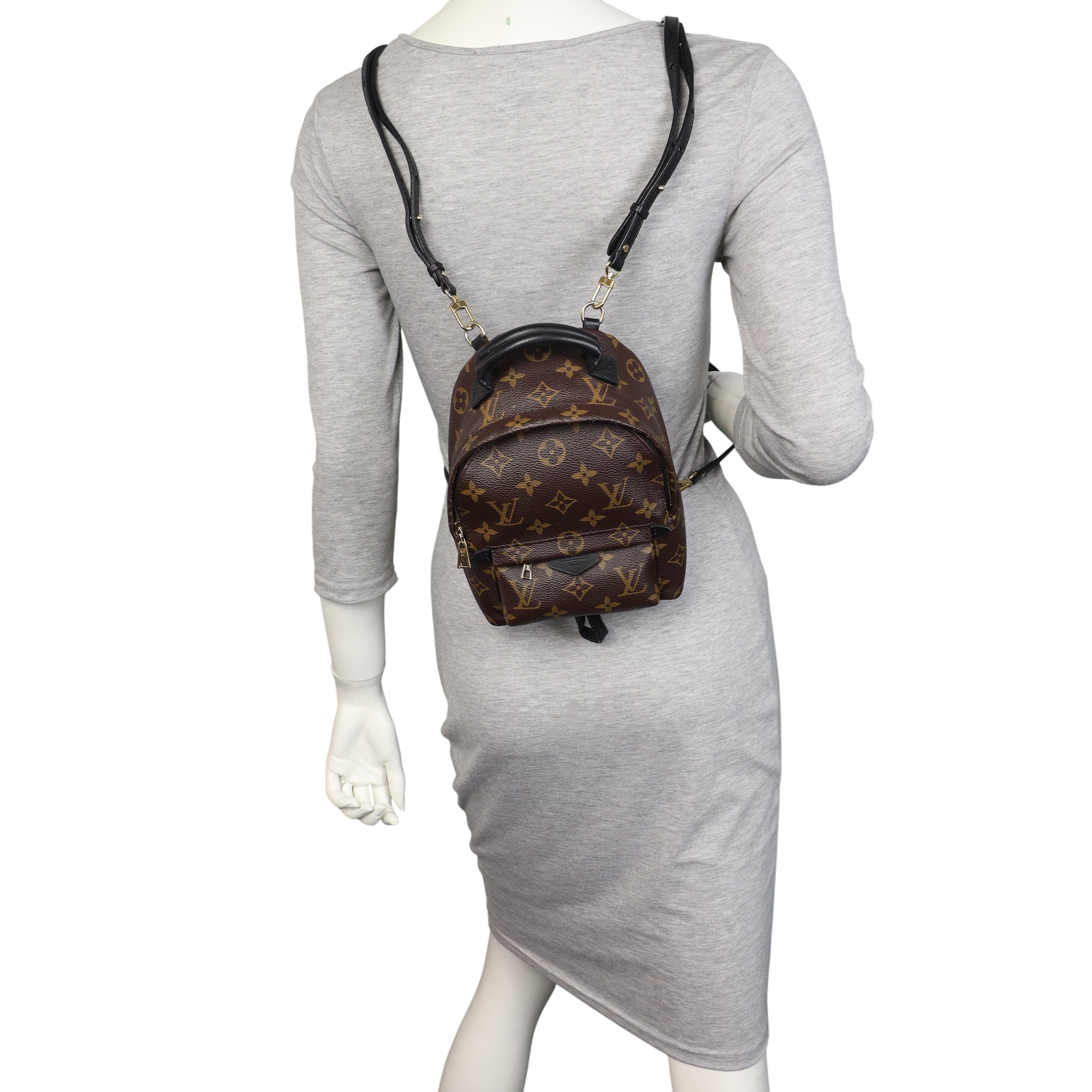 Louis Vuitton Palm Springs Mini Backpack Monogram