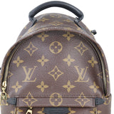 Louis Vuitton Palm Springs Mini Backpack Monogram