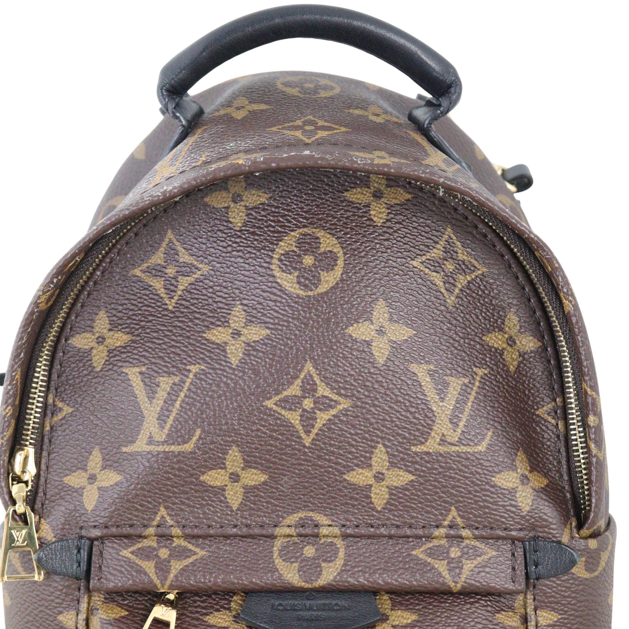Louis Vuitton Palm Springs Mini Backpack Monogram