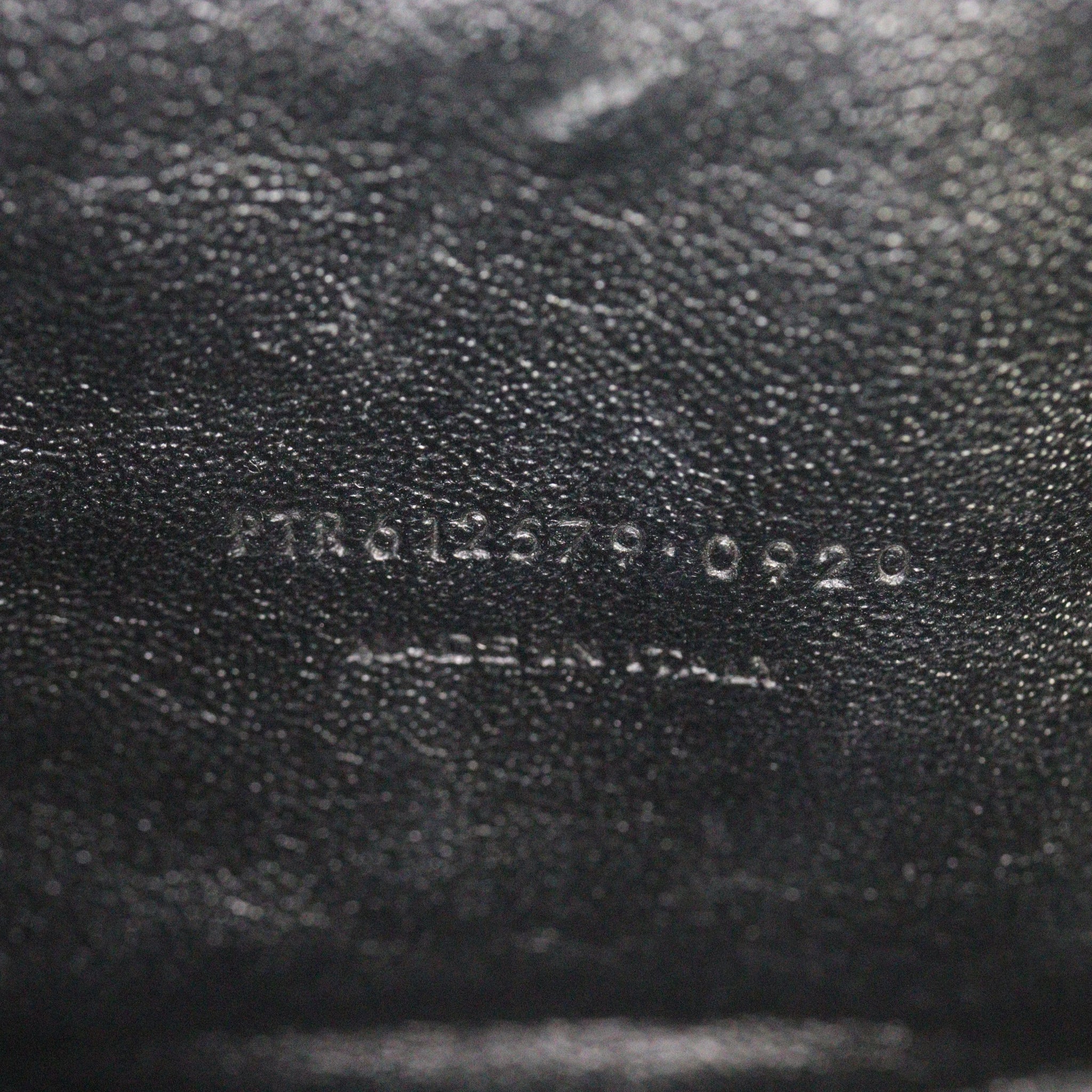 Saint Laurent Lou Mini Camera Bag